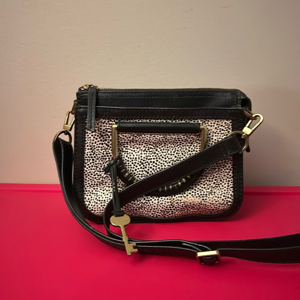 Fossil Crossbody Bag